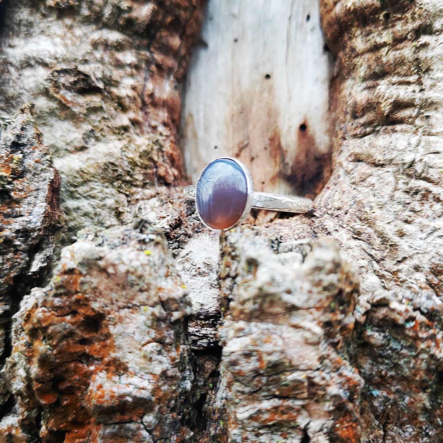 Botswanan Agate ring UK Size L