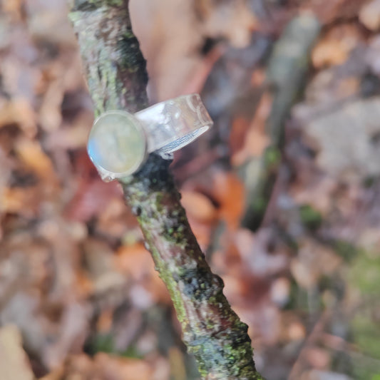 Labrodite Ring